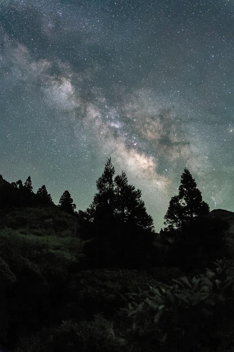 Milky Way galaxy