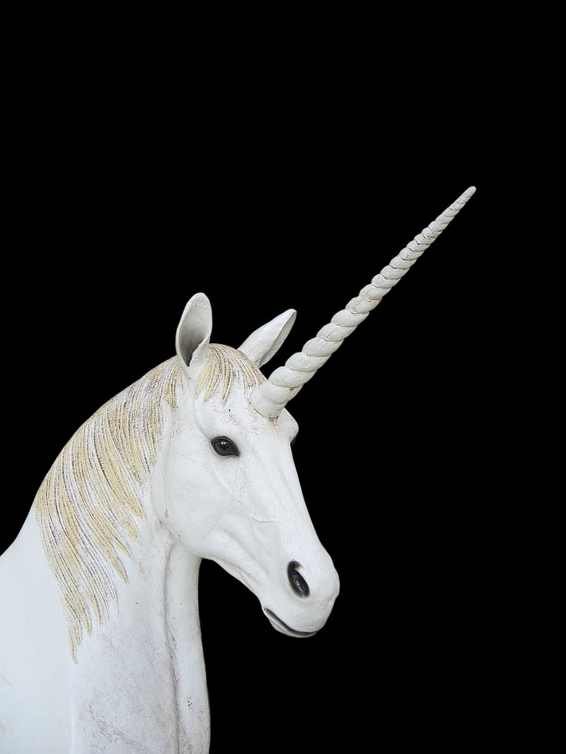 Unicorn in Enchanted Forest